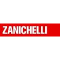  Zanichelli